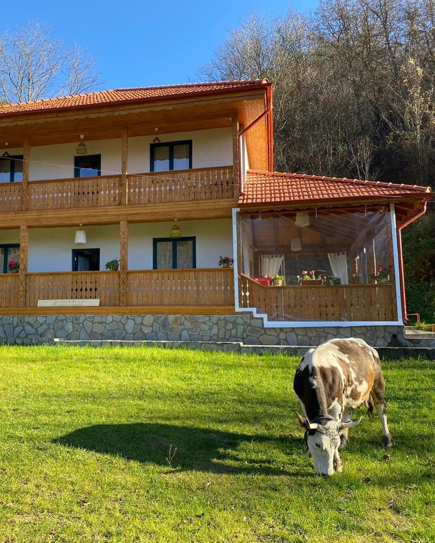 Colti Casa Lila Bed & Breakfast エクステリア 写真